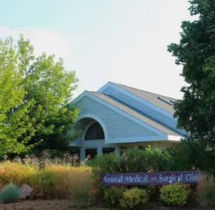 Animal Medical And Surgical Clinic Wisconsin