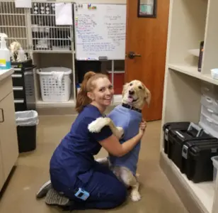 Animal Medical & Surgical Center arizona