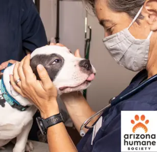 Arizona Humane Society Veterinary Clinic at South Mountain Campus
