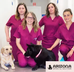 Arizona Spay Neuter
