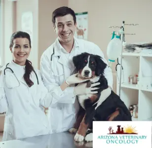 Arizona Veterinary Oncology