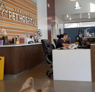 Armstrong Pet Hospital california