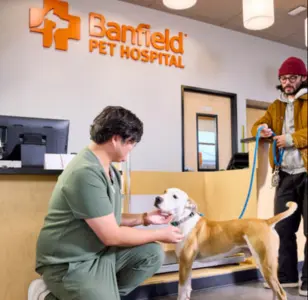 Banfield Pet Hospital california