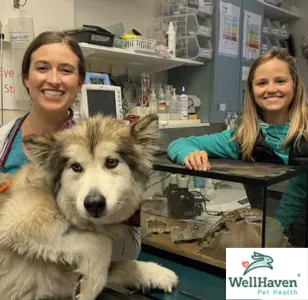 Bozeman Pet Hospital & Urgent Care montana estados unidos