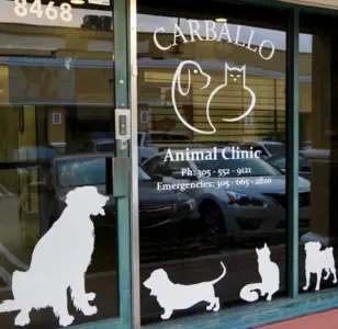 Carballo Animal Clinic florida