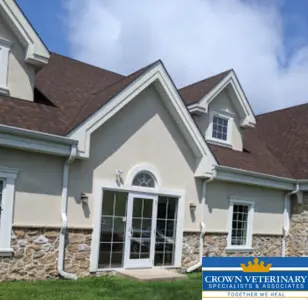 Crown Veterinary Specialists Nueva Jersey