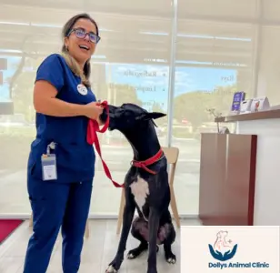 Dollys Animal Clinic Miami, FL florida