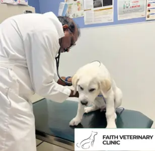 Faith Veterinary Clinic nueva jersey