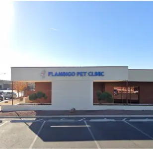 Flamingo Pet Clinic nevada