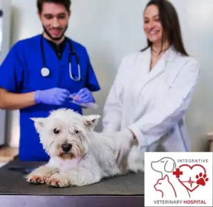 Integrative Vet Hospital Formerly Animal Kingdom Veterinary Hospital nevada