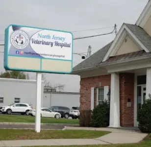 North Jersey Veterinary Hospital