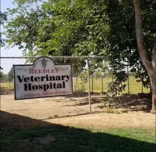 Reedley Veterinary Hospital california