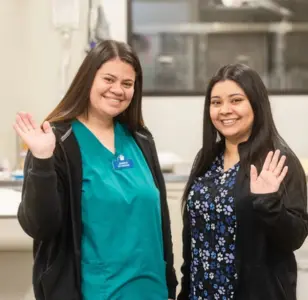Sunnyside Pet Hospital servicio veterinario california cerca de ti