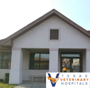 Texas Veterinary Hospital texas