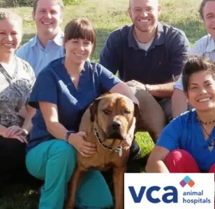 VCA Veterinary Specialists of Northern Colorado