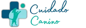 servicios para el cuidado y el bienestar de tu perro en estados unidos
