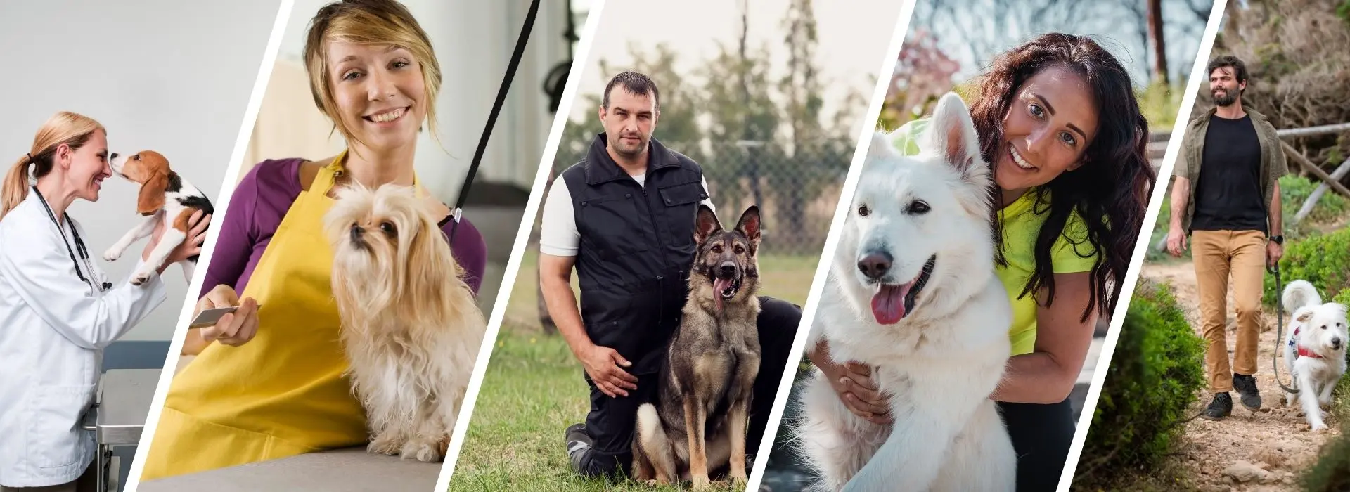 servicios para el cuidado y el bienestar de tu perro en usa cerca de tu ubicacion hablan español veterinarias, peluquerias caninas, paseadores de perros, guarderias para perros