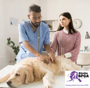 Alaska SPCA Clinic