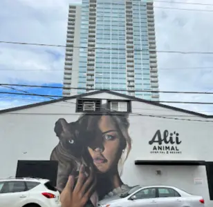 Alii Animal Hospital & Resort Hawaii
