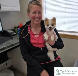 All Creatures Veterinary Clinic alaska
