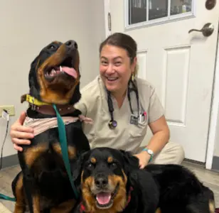 Aloha Affordable Veterinary Service Hawaii