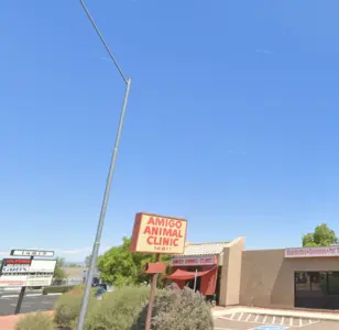 Amigo Animal Clinic phoenix arizona
