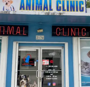 Animal Clinic of Miami Dade miami florida