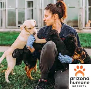 Arizona Humane Society Veterinary Clinic at South Mountain Campus phoeniz arizona