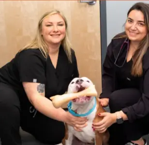 Bluepearl Pet Hospital en forest hills nueva york