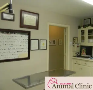 Casa Linda Animal Clinic texas dallas (2)