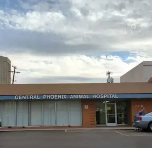 Central Phoenix Animal Hospital phoenix arizona