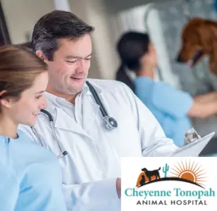 Cheyenne Tonopah Animal Hospital las vegas nevada