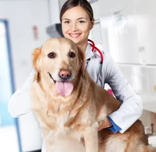 Classen View Veterinary Clinic oklahoma city