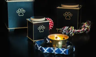 Cremación de perros en estados unidos