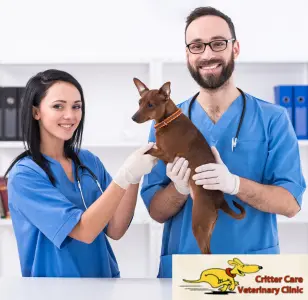 Critter Care Veterinary Clinic laredo texas