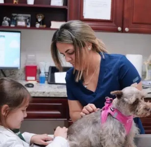 Dollys Animal Clinic Miami, FL miami florida