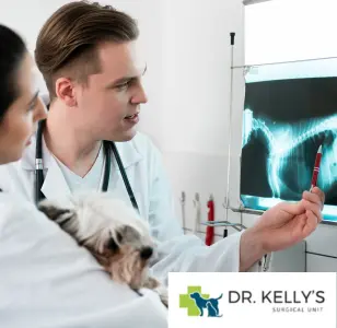 Dr. Kelly's Surgical Clinic - Tucson arizona