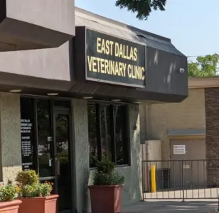 East Dallas Veterinary Clinic texas dallas