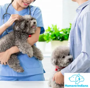 Humane Indiana Estelle Marcus Pet Clinic