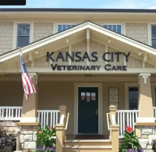 Kansas City Veterinary Care