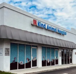 Kind Animal Hospital miami florida