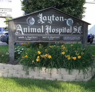 Layton Animal Hospital milwaukee