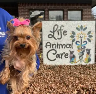 Life Animal Care texas dallas