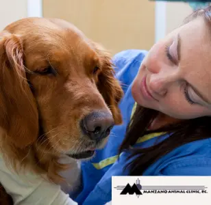 Manzano Animal Clinic alburquerque nuevo mexico