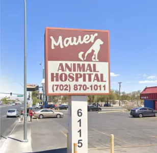 Mauer Animal Clinic las vegas nevada