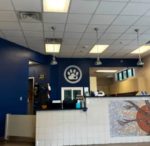 Metro Paws Animal Hospital - Oak Cliff texas dallas