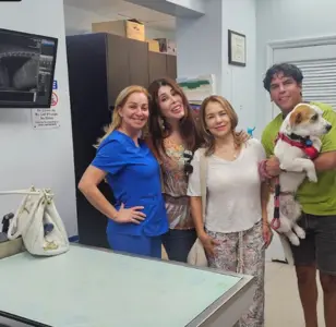 Miami Animal Clinic miami florida