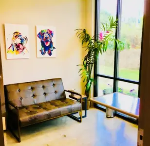 Peachtree Creek Animal Hospital atlanta georgia