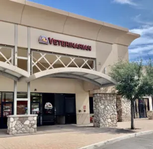 Phoenix Veterinary Center phoenix arizona
