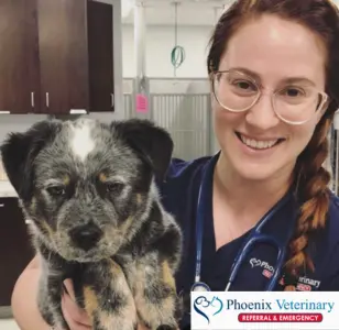 Phoenix Veterinary Referral & Emergency Center phoenix arizona